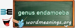 WordMeaning blackboard for genus endamoeba